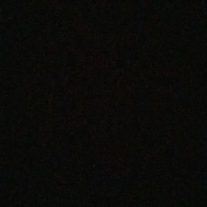 Meet your Posher, Misha